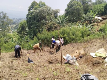 Group youths farming