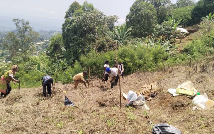 Group youths farming