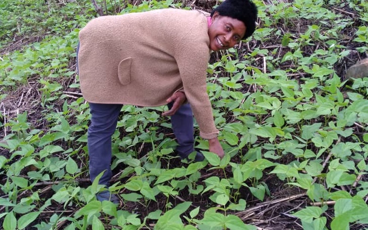 Beans production in Mbingo two. 2 weeks after planting