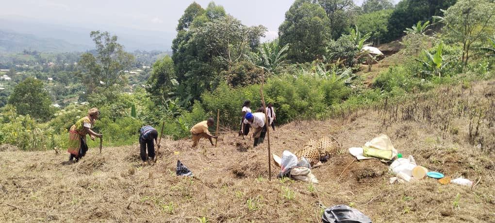 Group youths farming
